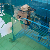 Занятия по легководолазной подготовке прошли в 72 ОУЦ