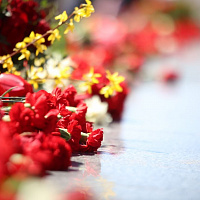 Праздник в самом разгаре 