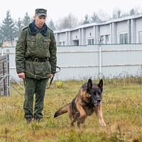 Кинологическому центру Вооружённых Сил — 29 лет