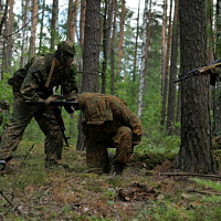 Упор — на практические занятия