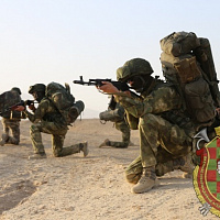 В поиск уходит разведка