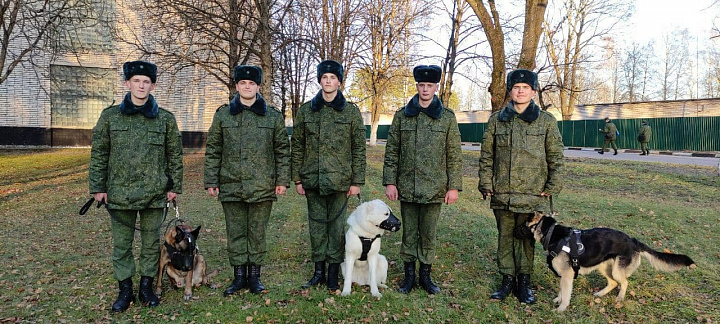 Успехов в совместной службе!