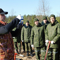 «Неделя леса»