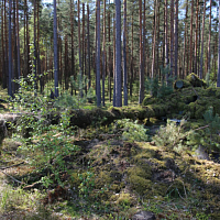 Постигая секреты меткой стрельбы