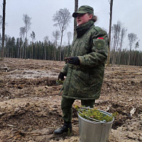 Чистую и зеленую страну создадим вместе