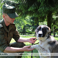 Военные кинологи посетили воспитанников школьного лагеря Колодищанской средней школы