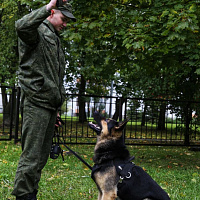 10 лет центру допризывной подготовки Московского района столицы