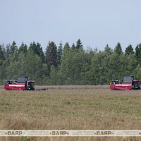 Военнослужащие оказывают помощь в уборке урожая