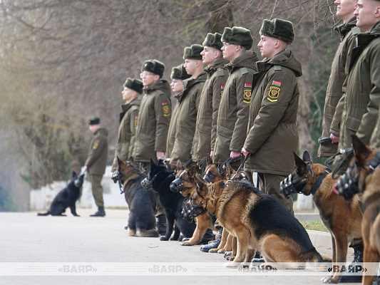 В кинологическом центре Вооружённых Сил состоялся торжественный выпуск курсантов