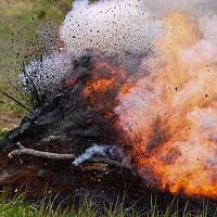 Комплексное тактическое занятие с военнослужащими нового пополнения