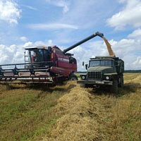 Военнослужащие продолжают оказывать помощь сельским труженикам в уборочной страде