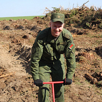 Белорусские военнослужащие продолжают принимать участие в посадке леса