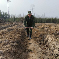 Армия не остаётся в стороне