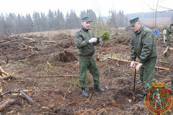 Дело – нужное, польза – общая