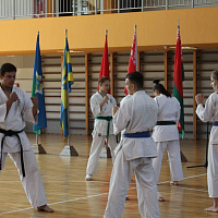 Единство армейского спорта