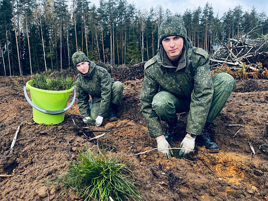 Военнослужащие 36 дмостбр приняли участие в акции «Дай лесу новае жыццё!»