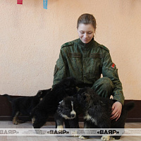 Фотофакт: военнослужащие кинологического центра Вооружённых сил со своими воспитанниками
