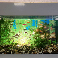 В армии – как рыба в воде