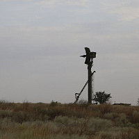 Расчёты ЗРК С-300 заняли боевые позиции