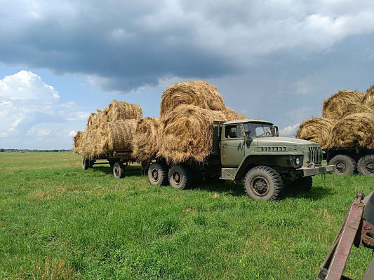  Белорусские военнослужащие продолжают оказывать помощь в уборке урожая