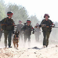 «Страж порядка»