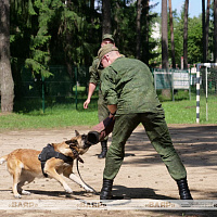  Около 70 ребят из Минска прибыли на вторую лагерную смену во 2-ю инженерную бригаду