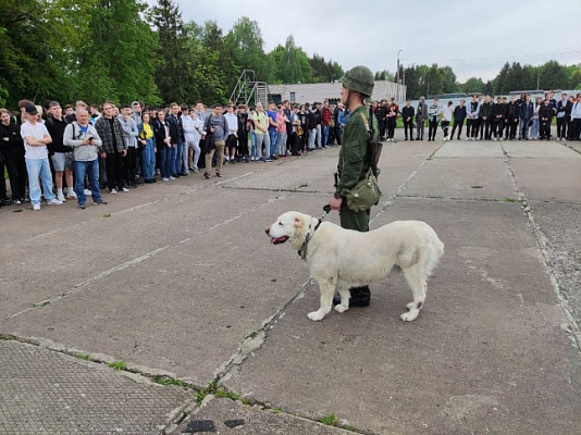 В гостях у военных кинологов