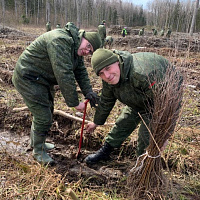 Неделя леса