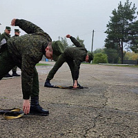 Показали хорошие результаты