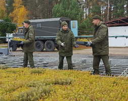 «Неделя леса»