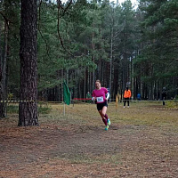 В Борисове прошел спортивный праздник ко дню образования войск связи 