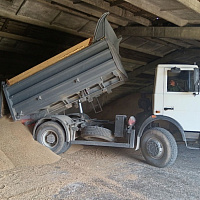 Военнослужащие помогают аграриям Витебщины