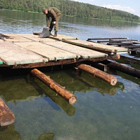 С задачами справились!