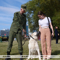 Украшение армейского праздника
