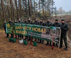 Военнослужащие Вооружённых Сил продолжают участвовать в республиканской акции «Дай лесу новае жыццё»