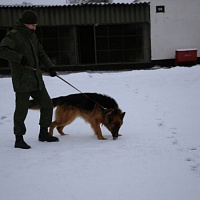 Они всегда начеку