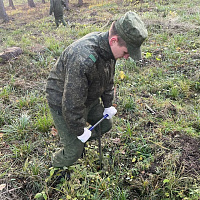 Военнослужащие 297 цуфпс внесли свой достойный вклад в создание будущего леса Минского гарнизона