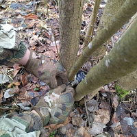 Разведка вскрывает цели