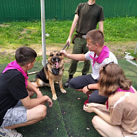 «Зарница» для юных патриотов