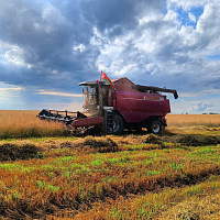 Военнослужащие продолжают оказывать помощь в уборке урожая