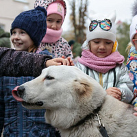 Каникулы с пользой