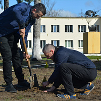 Брестские десантники присоединились к Республиканской акции «Неделя леса»