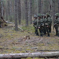 Действуя сообща