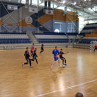 Чемпионат по мини-футболу