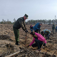 Сделали доброе дело