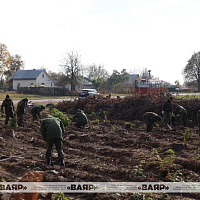 Военнослужащие ВВС и войск ПВО присоединились к республиканской акции «Дай лесу новае жыццё»