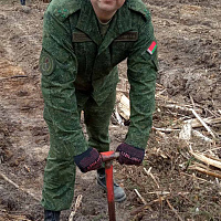 Лес – богатство нашей страны