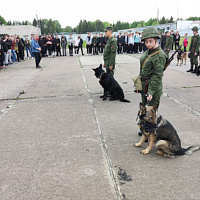 В гостях у военных кинологов