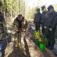 Военнослужащие 297 цуфпс приняли участие в акции «Дай лесу новае жыццё»