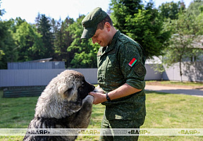 Военнослужащие кинологического центра Вооружённых сил со своими воспитанниками
